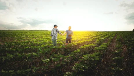 Lei do Agro